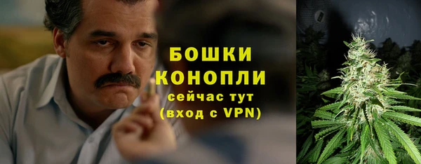сатива Наволоки