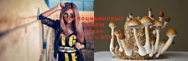 шишки Навашино