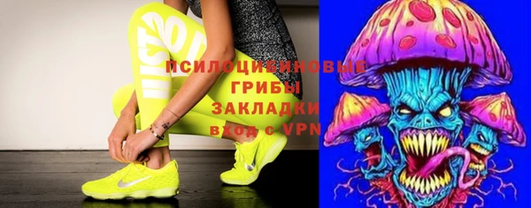 шишки Навашино