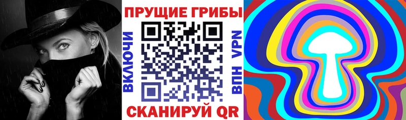 Псилоцибиновые грибы Magic Shrooms  Купить закладки  Коломна 